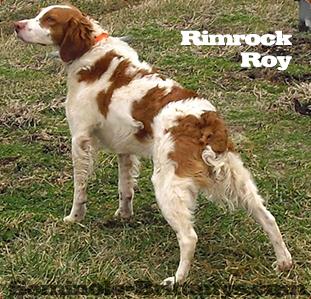 2014 Rimmrock-Roy